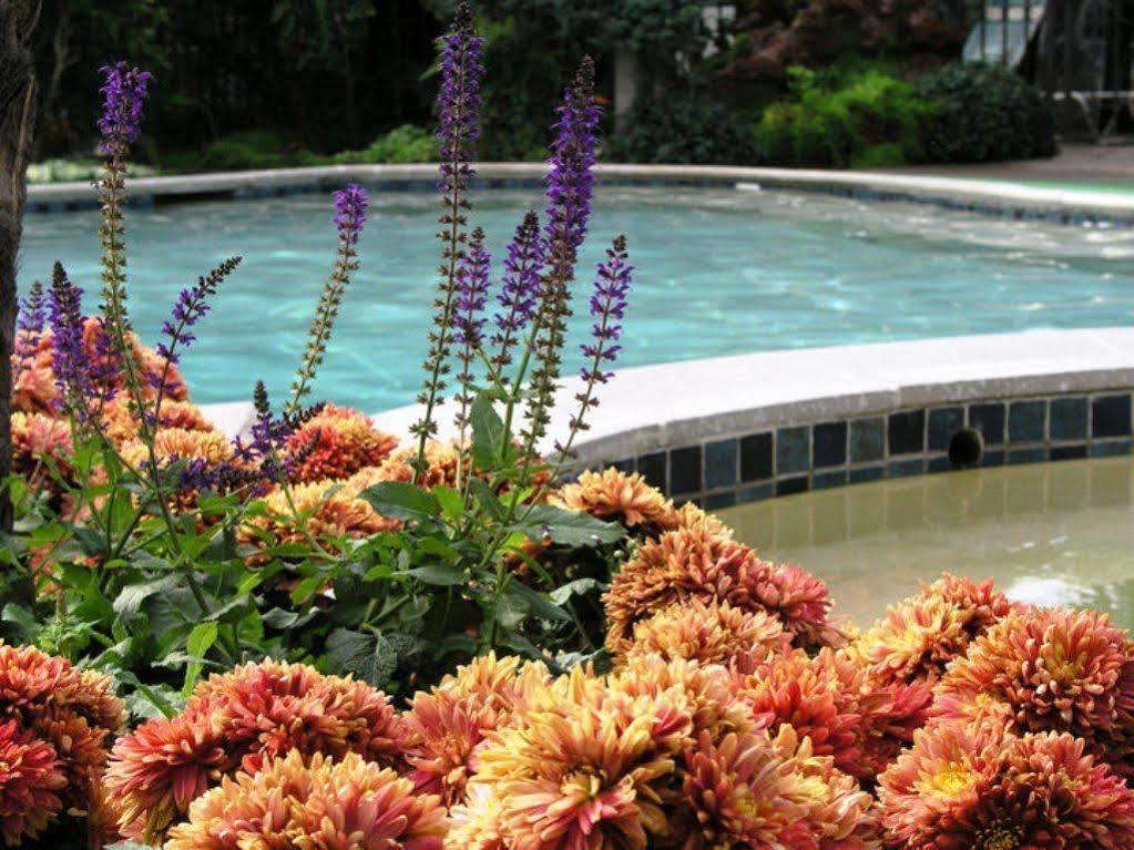Roman Spa Resort Calistoga Buitenkant foto